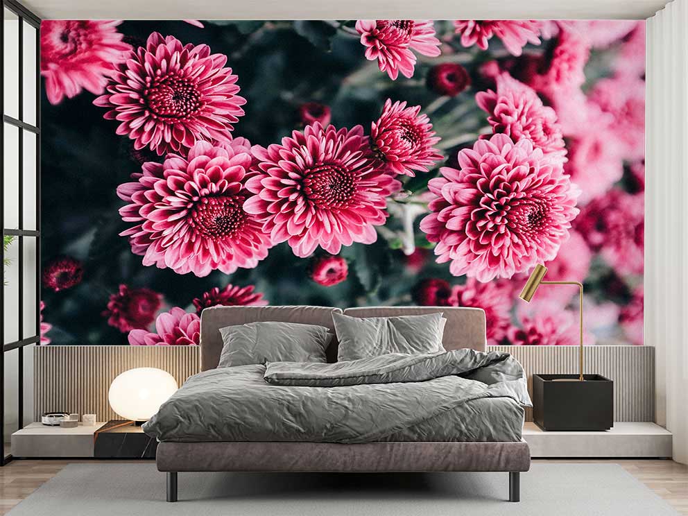 Canlı Pembe Dalia Desenli Duvar Kağıdı - Görsel 2