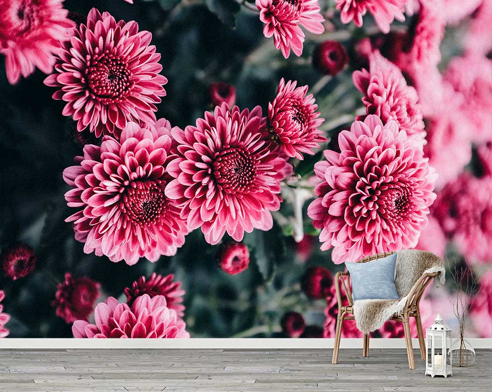 Canlı Pembe Dalia Desenli Duvar Kağıdı
