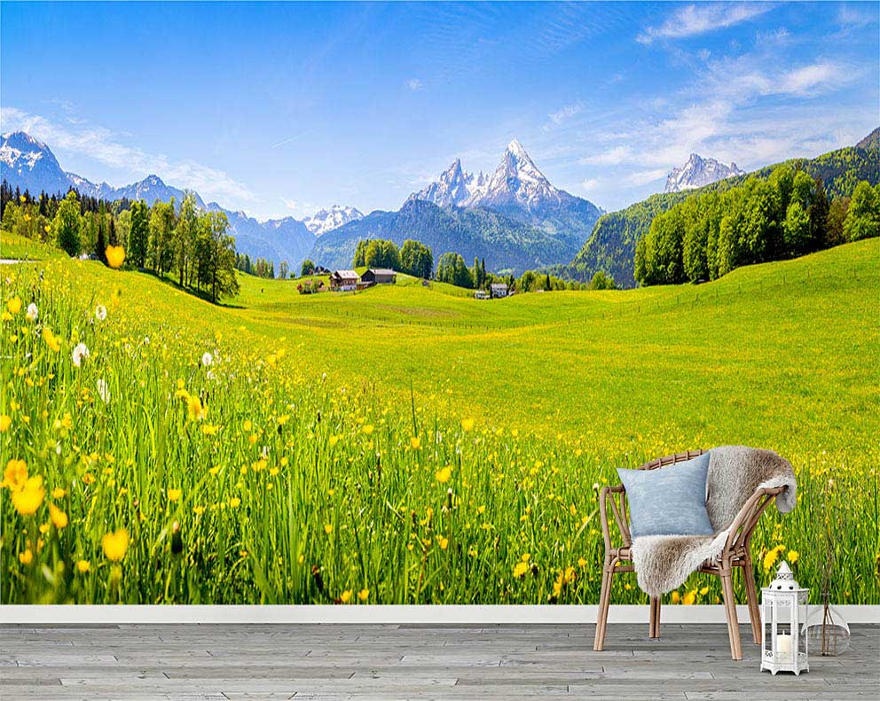 Alp Dağları ve Çiçekli Çayır Manzaralı Duvar Kağıdı - Doğa ve Huzur Temalı Poster
