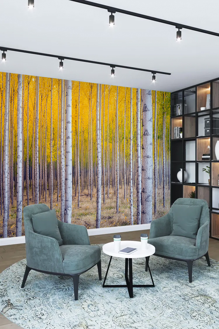 Sonbahar Ormanı Duvar Kağıdı - Görsel 2