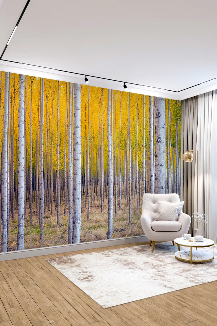 Sonbahar Ormanı Duvar Kağıdı - Görsel 4