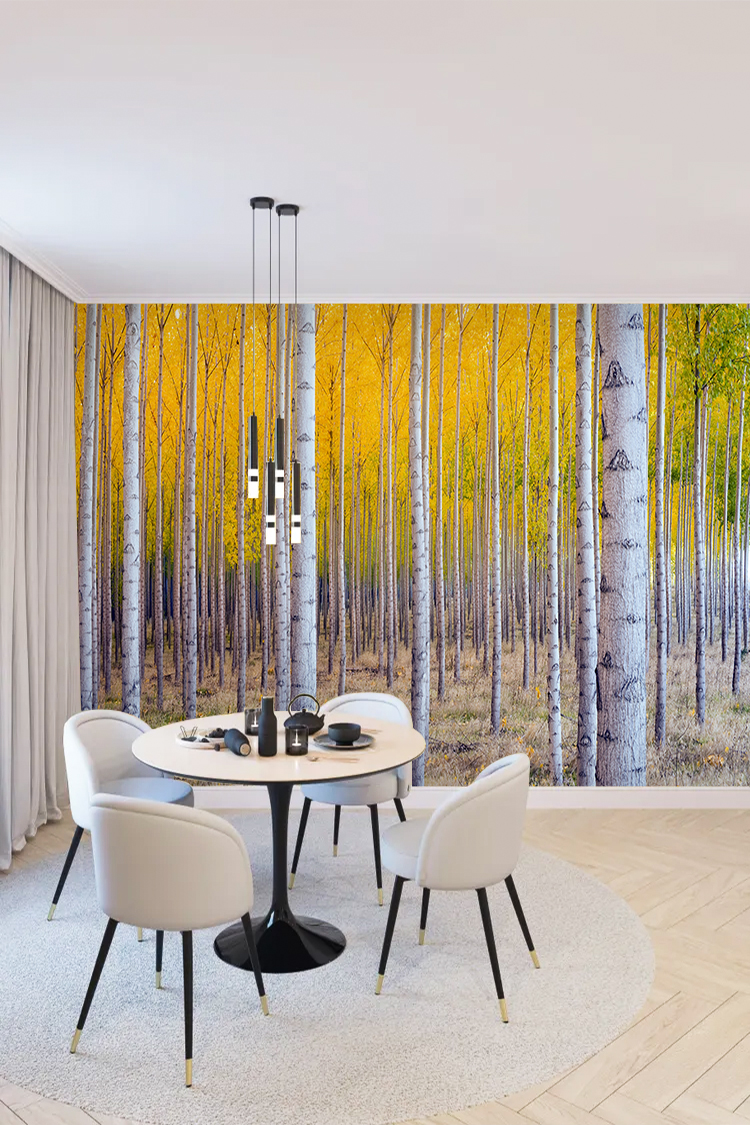 Sonbahar Ormanı Duvar Kağıdı